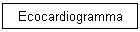 Ecocardiogramma